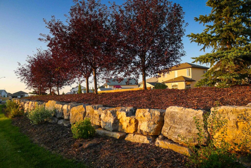 Peaceful residential community in Olds, framed by lush trees, highlighting the town's serene living environment.