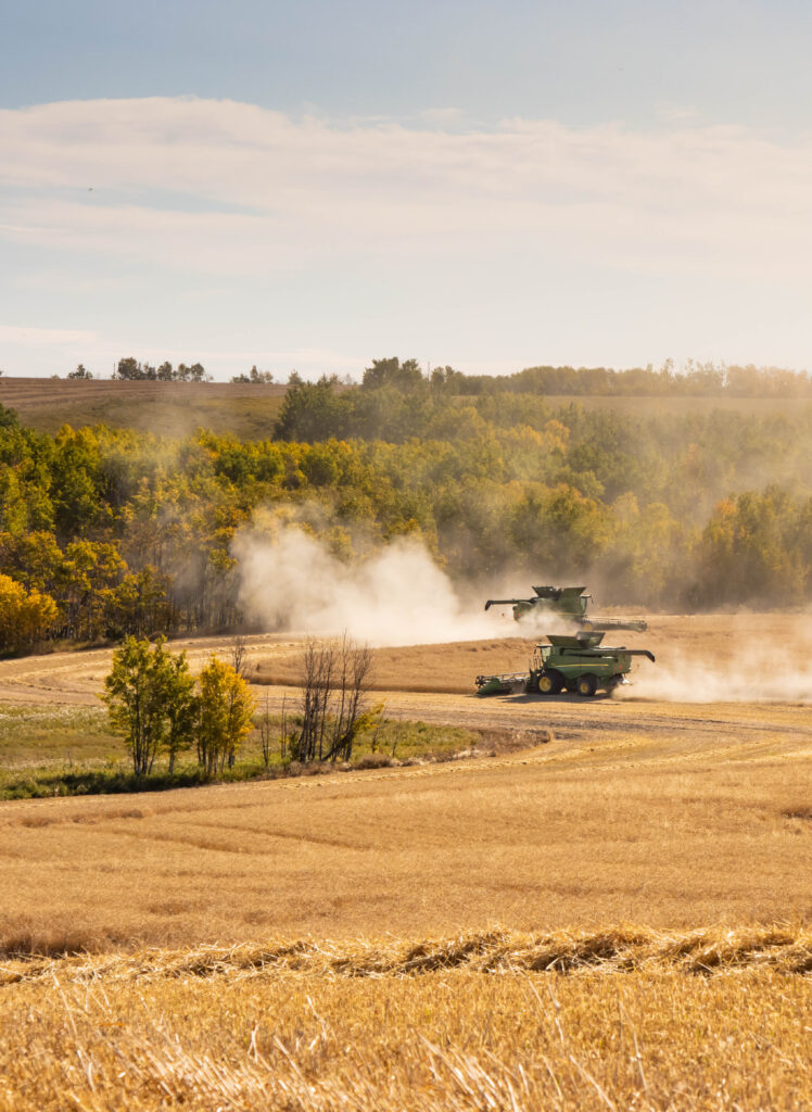 "A tractor harvesting crops in a lush field in Olds, Alberta, illustrating the region's rich agricultural industry and the fertile farmland surrounding the town.