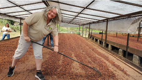 Image of Beverley Toews actively working in a cocoa field, exemplifying her commitment to fair trade practices in Olds, Alberta. She is seen interacting with cocoa plants, demonstrating hands-on involvement in sustainable agriculture.