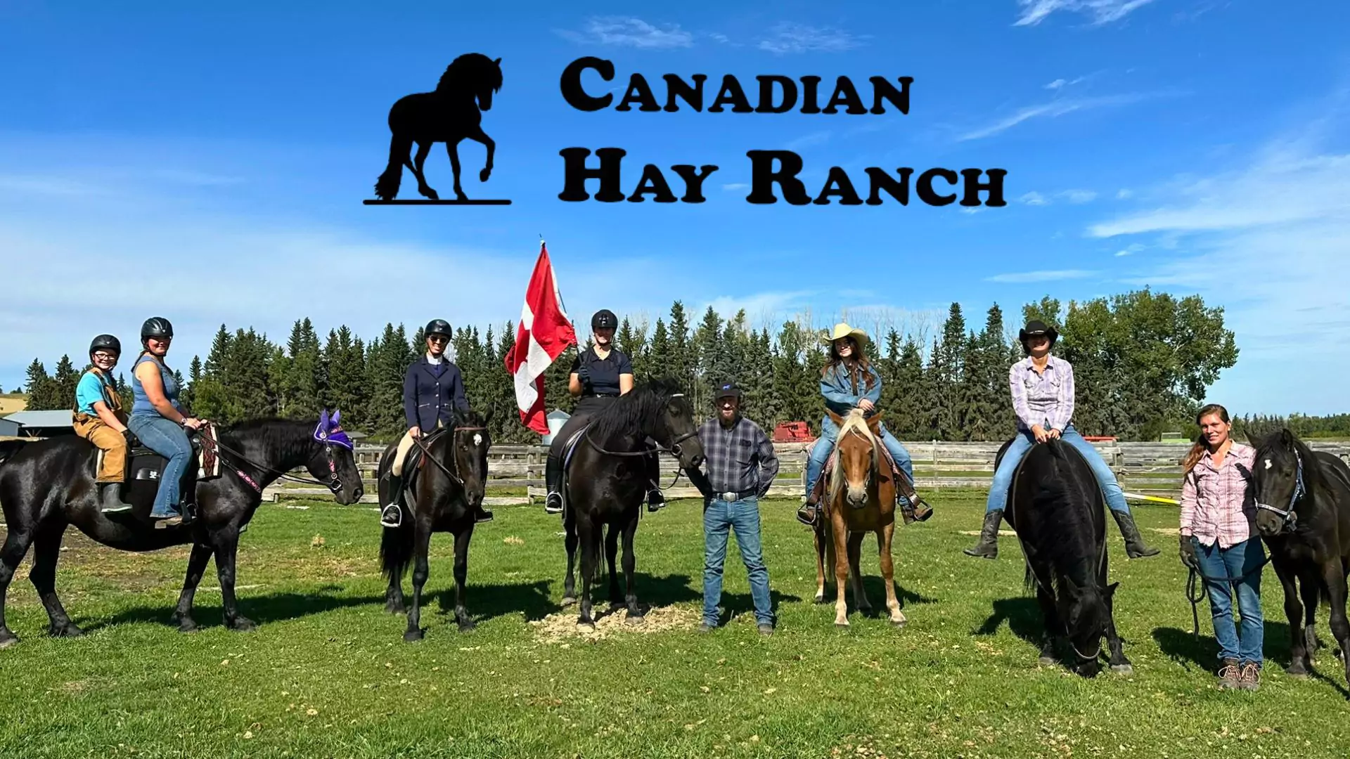 Canadian Hay Ranch – Raising Exceptional Horses in Alberta